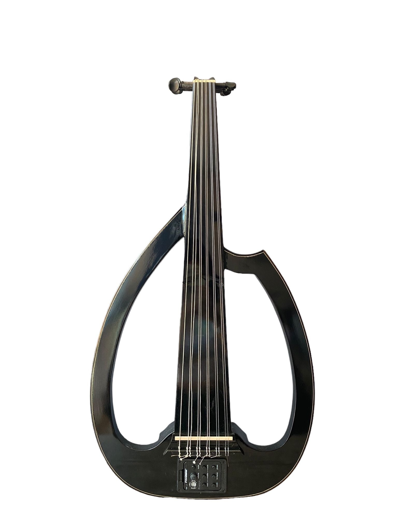 Electric Oud Instrument